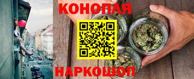 индика Моздок