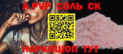 индика Моздок